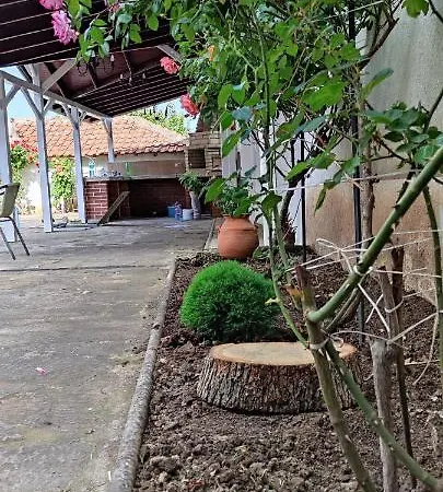 Palazzo بايالا