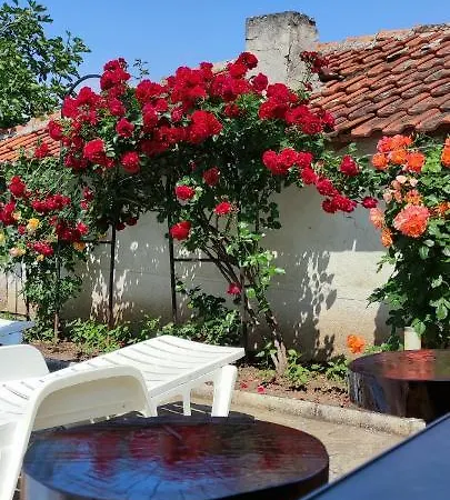 بيت ضيافة Palazzo