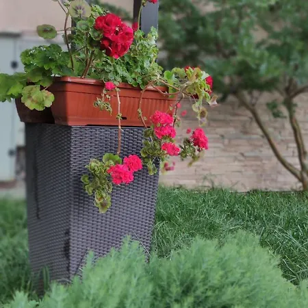 Palazzo بيت ضيافة 3*