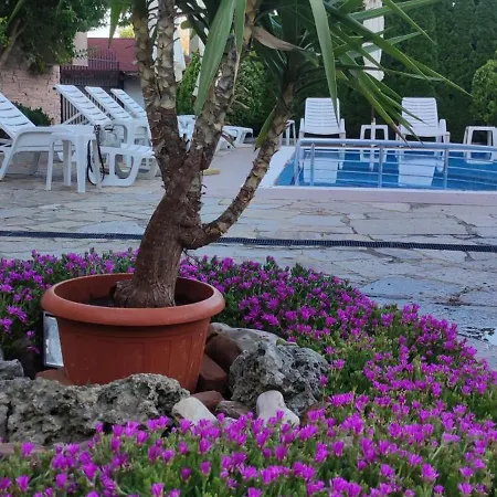 بيت ضيافة Palazzo