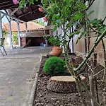Palazzo 비알라